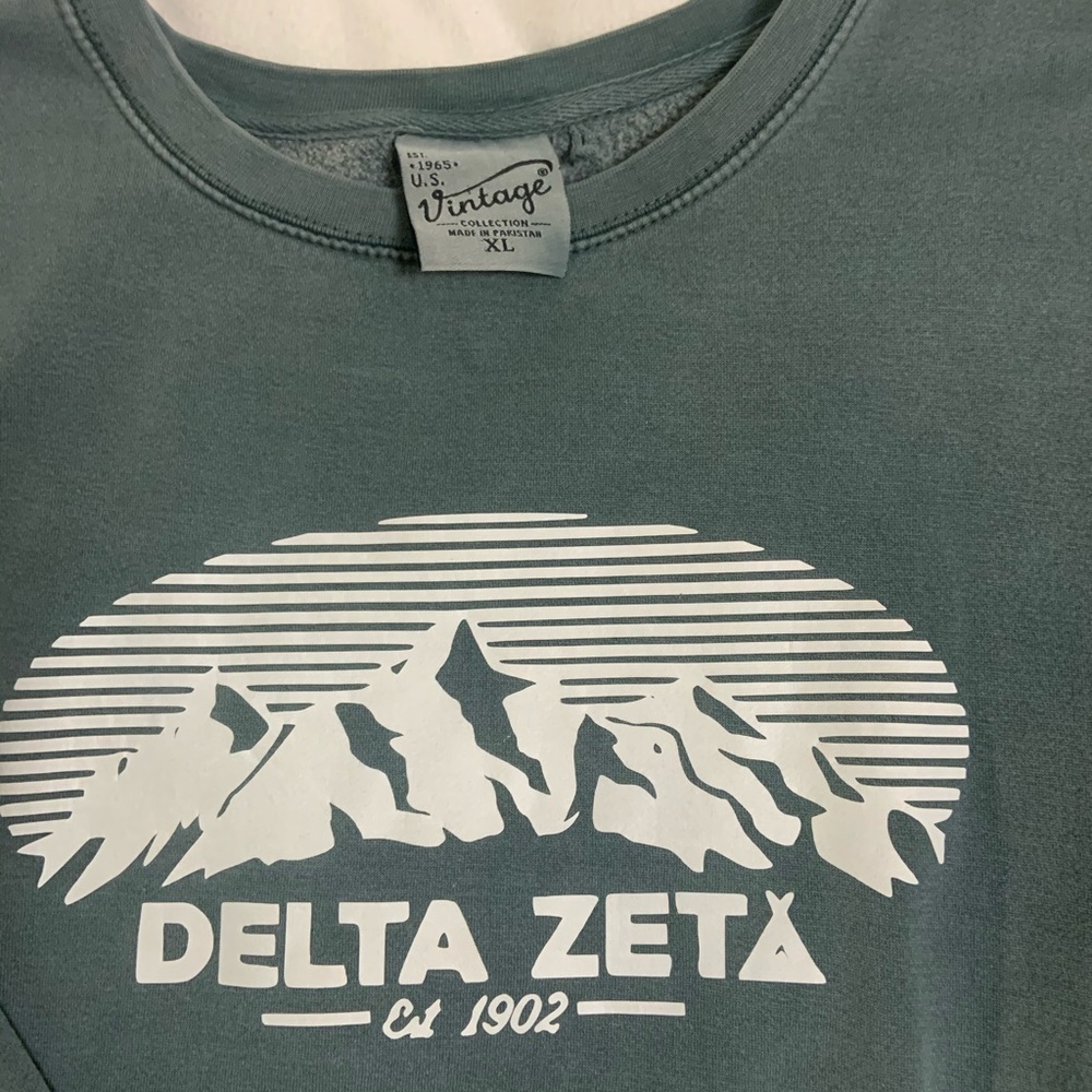 Delta zeta crewneck